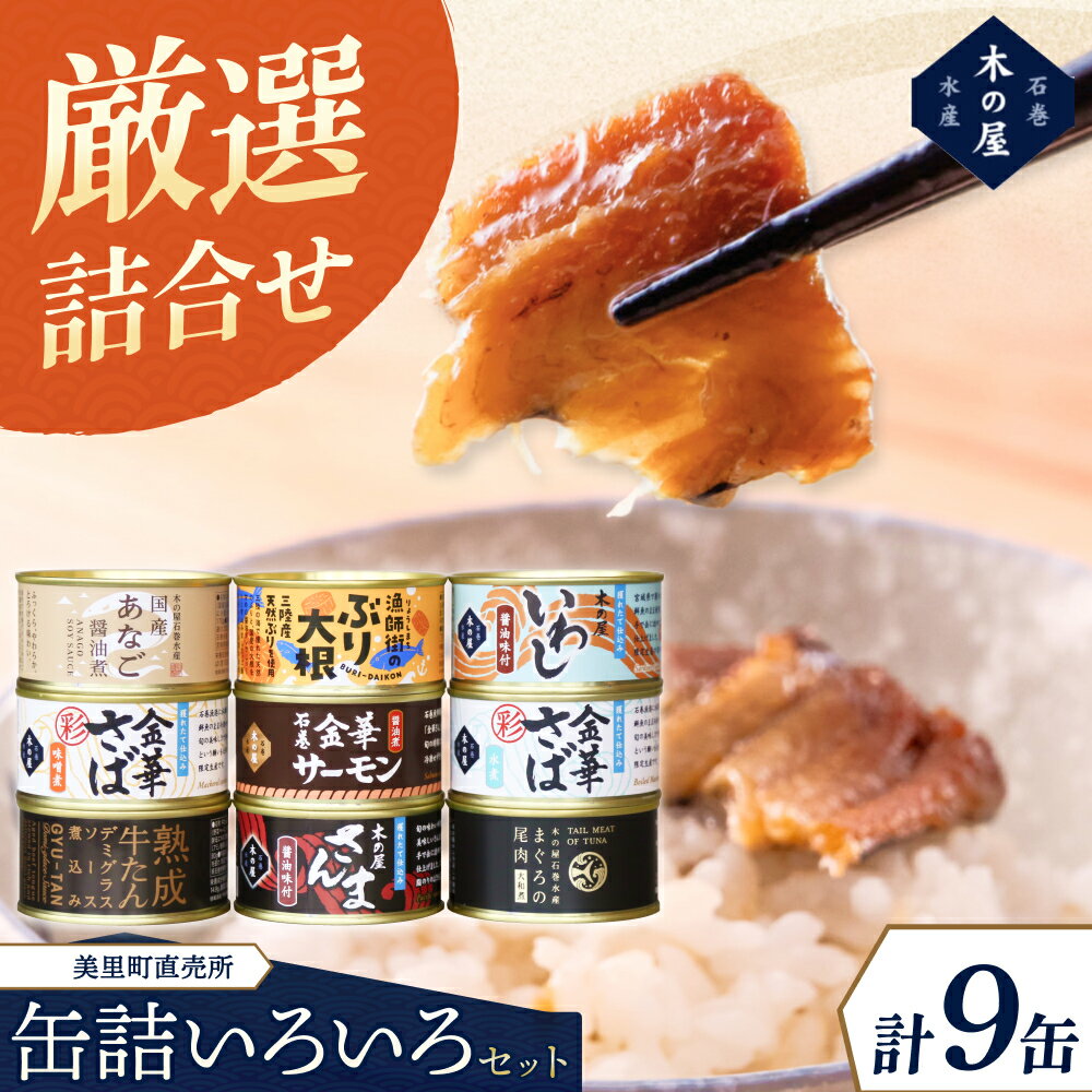 【ふるさと納税】 美里町直売所厳選いろいろ9缶セット/ 缶詰 魚 アナゴ いわし 金華さば マグロ おつまみ 海鮮 非常食