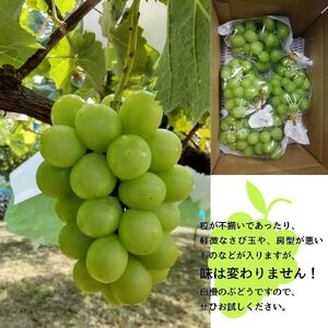 シャインマスカット 訳あり２kg（３～６房）＜9月下旬より発送＞