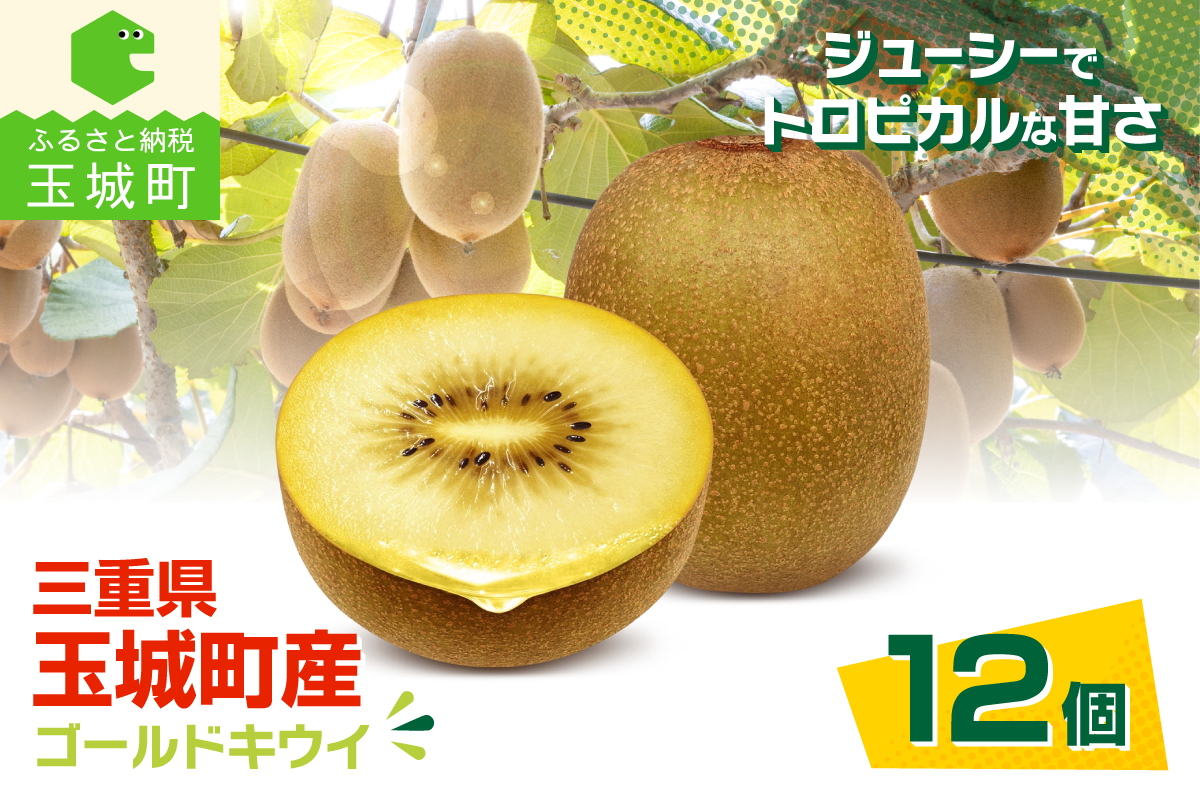 三重県玉城町産ゴールドキウイ