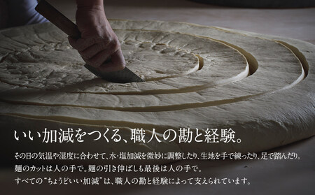 海津屋　氷見うどん細麺5本・つゆ5袋×2（自家用）簡易箱 富山県 氷見市 乾麺 うどん