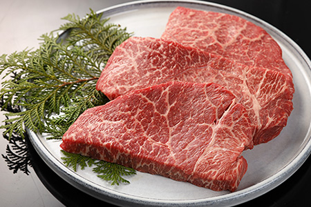 飛騨牛ももステーキ 170g×3枚  牛肉 国産 ブランド牛【22-6】【冷凍】