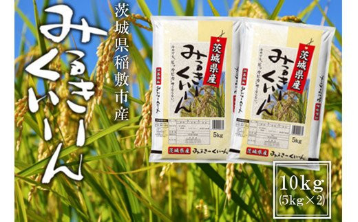 
                  【定期便／3ヶ月 令和8年産】稲敷市産 ミルキークイーン 計30kg (10kg [5kg×2袋]×3回)｜米 こめ コメ ごはん ご飯 [2387]
                
