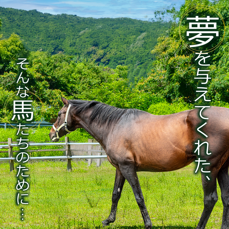 【返礼品なし】 競走馬 引退馬はどこへ？ 黒潮友馬会応援 【3千円コース】