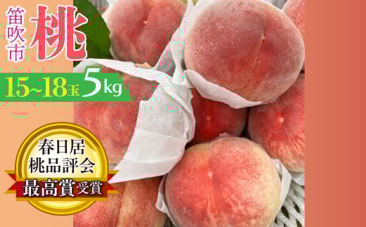 ＜25年発送先行予約＞春日居桃品評会最高賞受賞！！桃の一大産地「春日居のもも」5kg 15～18玉 230-008