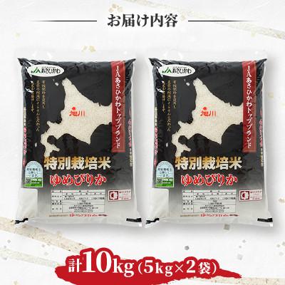 ふるさと納税 旭川市 【令和7年産米】北海道旭川市産 特A ゆめぴりか 新米(精米)5kg×2袋_05664 |  | 01