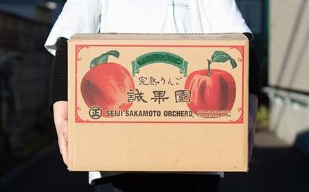 【訳あり】 青森産 完熟 りんご サンふじ （中～大玉） 約15kg 【誠果園】 F21U-390