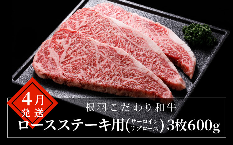 【全7回 定期便】定期便限定 赤身ステーキ入り ステーキ尽くし ステーキ定期便!