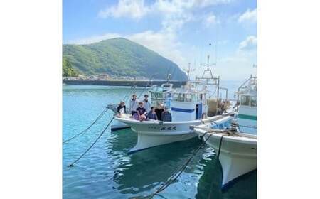 【愛媛県・佐田岬直送】木嶋水産の釜揚げしらす（2kgパック） 釜揚げしらす しらす シラス 海産物 ごはんのお供 おつまみ 料理 塩分控えめ お取り寄せ グルメ 冷凍 国産 ※着日指定不可【えひめの町