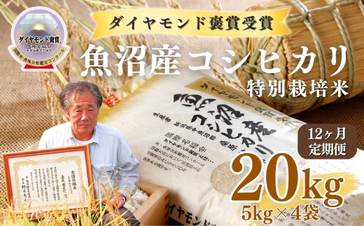 【令和8年産先行予約】【12ヶ月定期便】魚沼産コシヒカリ 20kg(5kg×4袋) 特別栽培米 ダイヤモンド褒賞受賞 |  新潟産コシヒカリ 新潟県産コシヒカリ 魚沼産こしひかり 米 お米 こしひかり 白米 精米 ブランド米 最高級 新潟県 津南町