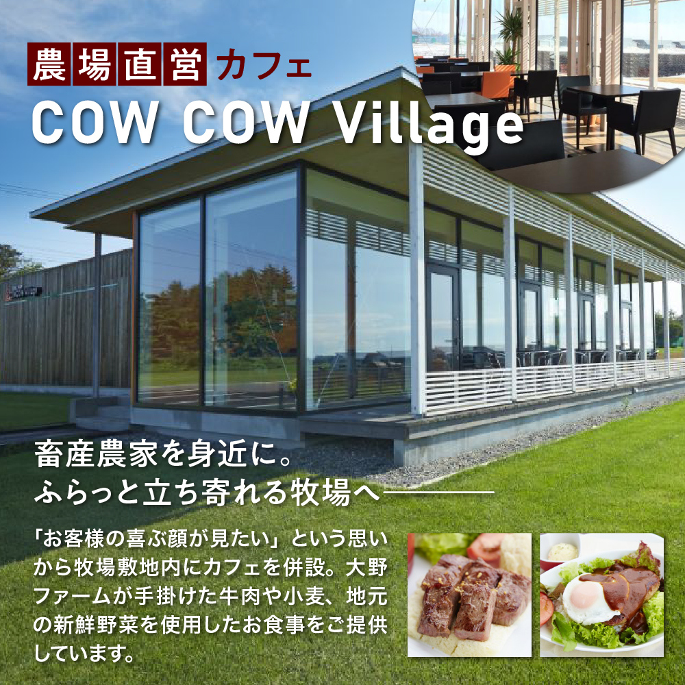 北海道十勝芽室町 カウ・カウビーフシチュー カウ・カウビーフカレー 各2個セット 未来とかち牛100％使用 me007-009c