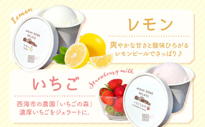 おまかせ ジェラート 12種 ＜みかんドーム＞ [CAI027] ジェラート アイス じぇらーと ジェラート 果物 旬 ジェラート 贈答 ギフト 贈り物