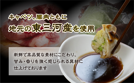 国産素材 冷凍餃子 100個 餃子 餃子