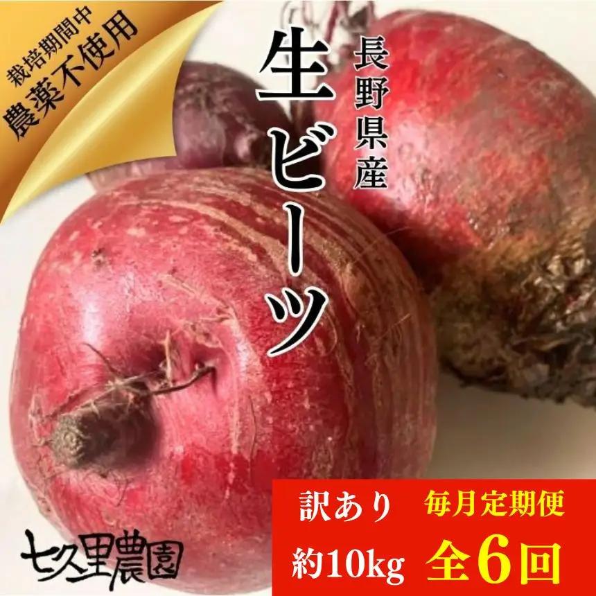 訳あり ビーツ 約10kg【 毎月 6回 定期便 】｜長野県 飯田市