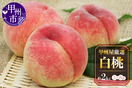 甲州屋厳選 白桃 約2kg 5～8玉【2025年発送】B15-133 【白桃 桃 もも モモ 令和7年発送 期間限定 山梨県産 甲州市 フルーツ 果物】