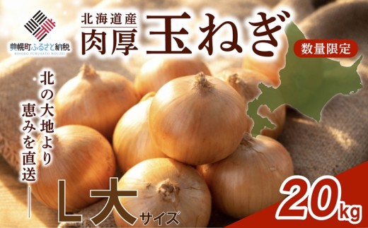 【先行予約】 玉ねぎ L大 サイズ 20kg ( 令和8年度産 タマネギ たまねぎ 玉ネギ 玉葱 オニオン スライス サラダ 野菜 スープ 肉じゃが 煮物 ハンバーグ すりおろし 甘い カレー BBQ バーベキュー 新鮮 旬 国産 北海道 美幌町 先行予約 送料無料 数量限定 フライ 天ぷら ラーメン 寿司 餃子 ピザ 現地直送 )