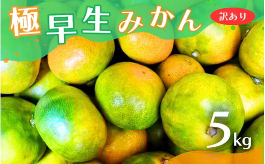 【2025年秋頃発送予約分】【訳あり】こだわりの極早生みかん 約5kg ※2025年10月上旬より順次発送予定（お届け日指定不可） 有機質肥料100% サイズ混合  有田産【nuk165A】