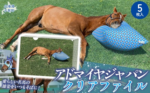 【アドマイヤジャパン×Yogibo】クリアファイル5枚入り 【ふるさと納税 人気 おすすめ ランキング 馬 競馬 競走馬 引退馬 アドマイヤジャパン 日高 北海道 平取町 びらとり 送料無料】 BRTV046