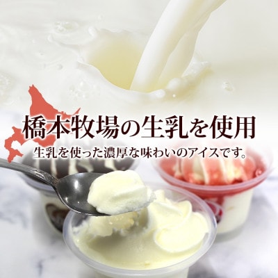 十勝橋本牧場 プレミアムソフト 全味食べ比べセット(3種×各3個)【配送不可地域：離島・沖縄県】【1675557】