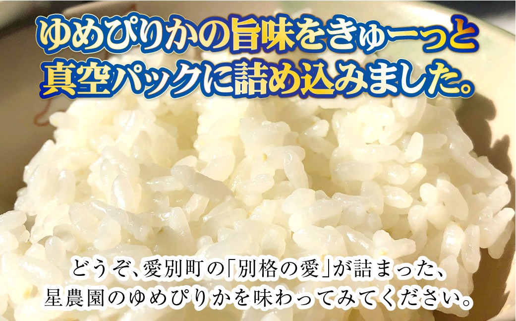 【8回定期便】ゆめぴりか(2合×5パック)×8回