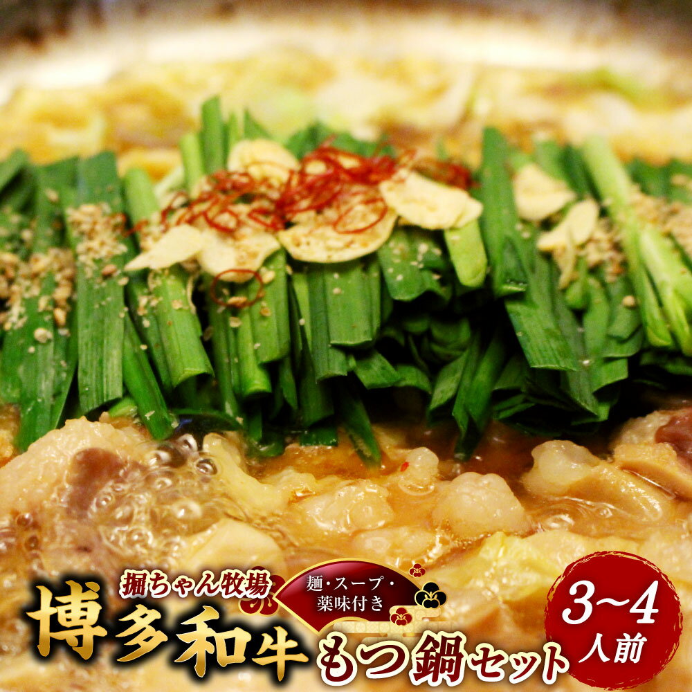 【ふるさと納税】堀ちゃん牧場 博多和牛もつ鍋セット ミックスホルモン・特製濃縮タイプスープ・ちゃんぽん麺・鷹の爪・にんにく モツ鍋 チャンポン麵 牛小腸 大腸 みの レバー ハツ 牛もつ 牛肉 お肉 鍋料理 お鍋 惣菜 麵類 冷凍 国産 九州 福岡県産 嘉麻市 送料無料