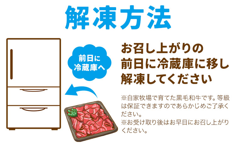 黒毛和牛 切り落とし 約1kg 500g×2パック 牛肉 《90日以内に出荷予定(土日祝除く)》