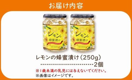 054-21 西垂水養蜂園 レモンの蜂蜜漬け