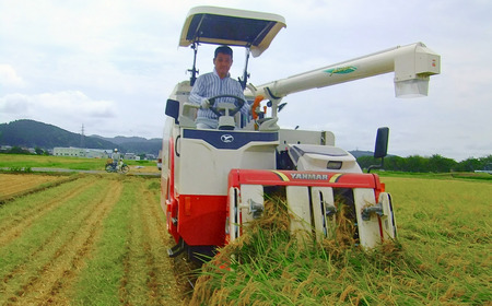 [定期便5kg×3か月] 新之助人生応援米 令和7年産 5kg 計15kg 新之助 白米 アグリ巧房【035S013】