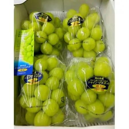【先行受付】岡山県産 シャインマスカット『晴王』 3～5房 (約2kg)【配送不可地域：離島・北海道・沖縄県】【1499103】