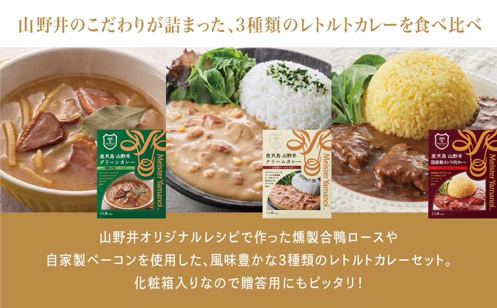 【マイスター山野井】 3種類のレトルトカレーセット 計6食（グリーン・クリーム・カシラ肉／各2食）常温保存 ごはん おかず 惣菜 グルメ ギフト 贈答 山野井 鹿児島 南さつま市