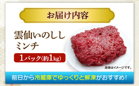 猪肉 ミンチ 1kg 雲仙いのしし / ひき肉 肉 イノシシ ジビエ いのしし ハンバーグ / 南島原市 / 株式会社髙田牧場[SDB012]
