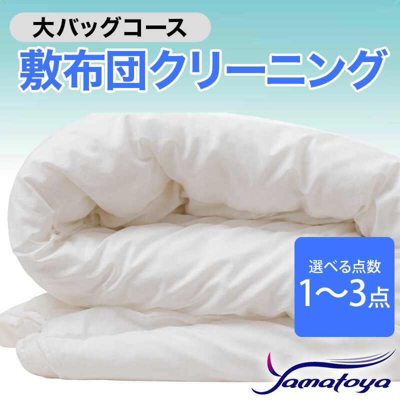 【ふるさと納税】敷布団クリーニング (1〜3点パック) 大バッグコース 1〜3点 丁寧 丸洗い セミダブル 敷き布団 寝具 こたつ 丸洗い クリーニング シーツ 高品質ヤマトヤクリーニング 糸魚川 帰省 年末年始 実家 寝具 布団クリーニング