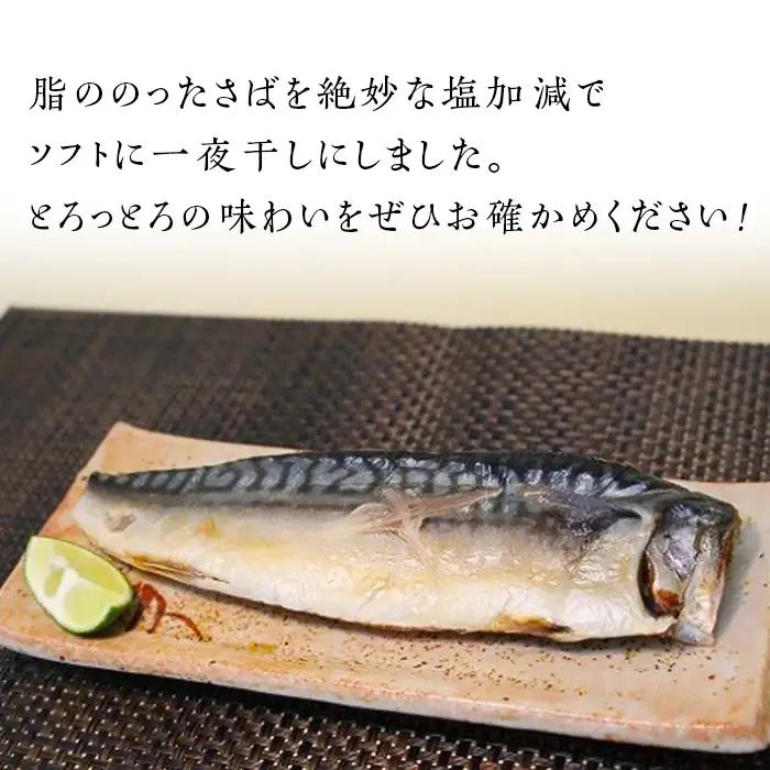 サバ 茨城限定 極上干物 大トロさば文化干し 【茨城県共通返礼品/神栖市】