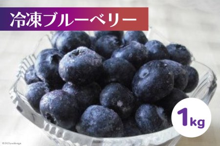 冷凍 ブルーベリー 1kg [ノーザン・ベリーズ 北海道 砂川市 12260395] 果物 フルーツ 国産 自家栽培