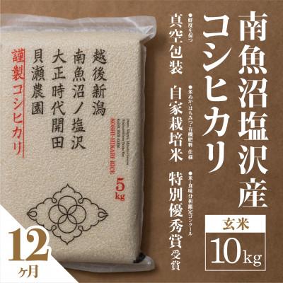 ふるさと納税 南魚沼市 【毎月定期便】南魚沼塩沢産コシヒカリ「貝瀬農園米」玄米10kg(5kg2袋)全12回