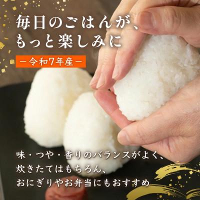 ふるさと納税 多良木町 【令和7年産】森のくまさん 10kg(多良木町) |  | 01