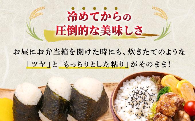 福岡県産元気つくし 白米10kg|福岡県産 元気つくし 白米 10kg 精米 米 国産 九州産 お米 ご飯 ふるさと納税 福岡県 那珂川市 10kg