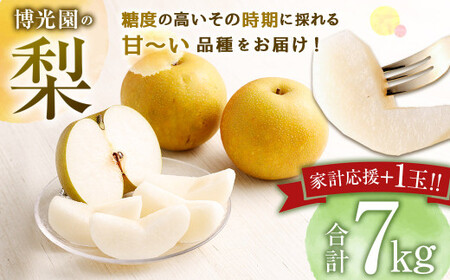 【10月発送分】【家計応援】【数量限定】梨 7.0kg+1玉  豊水 20世紀 新高 新興 果物 フルーツ