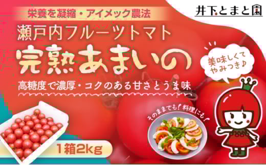 井下とまと園の完熟 フルーツトマト 約2kg 果物類 野菜 