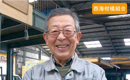訳あり 西海1号 温州みかん 5kg 優品 Sサイズ みかん CCF004