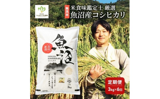 
                  [№5762-1323]無洗米 「米食味鑑定士 厳選」魚沼産コシヒカリ 3kg 6ヵ月連続お届け　米 こめ お米 コメ こしひかり 新潟県 魚沼市 魚沼 ライス ご飯 主食 新潟県産 産地直送 時短
                