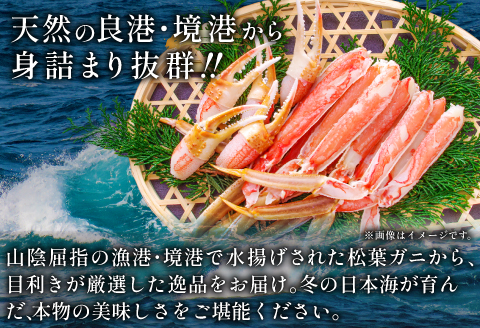 【活き】ご自宅用松葉ガニ　大　２枚