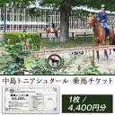 【ふるさと納税】272中島トニアシュタール　乗馬チケット　1枚（4,400円分）