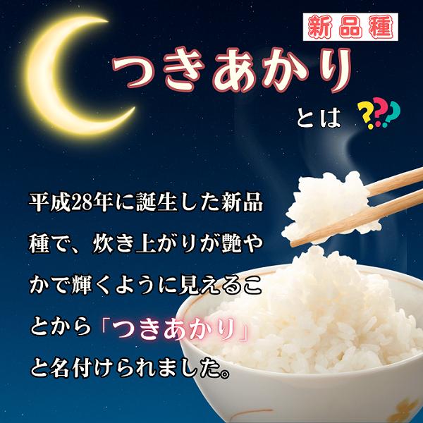 【先行予約】<令和７年産> 奥信濃飯山～木内ファームのお米～ つきあかり 精米 10㎏ (7-13B) つきあかり 精米10kg
