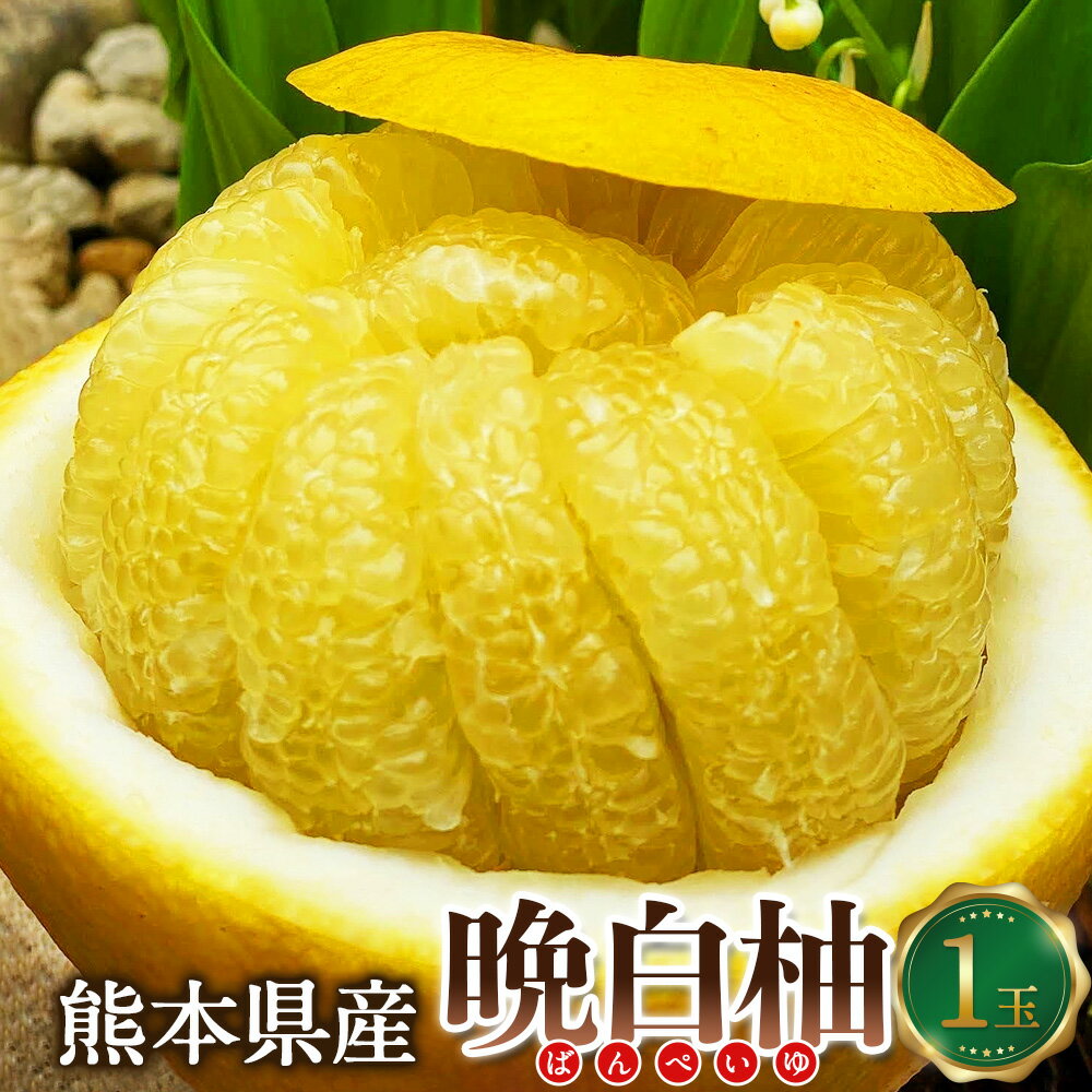 【ふるさと納税】熊本県産 晩白柚 1玉入り 2Lサイズ 約2kg 世界最大級 ザボン ギネス認定 柑橘 ばんぺいゆ 果物 フルーツ くだもの お取り寄せ 常温 九州 熊本県 送料無料 【2026年12月20日～2027年2月15日発送予定】