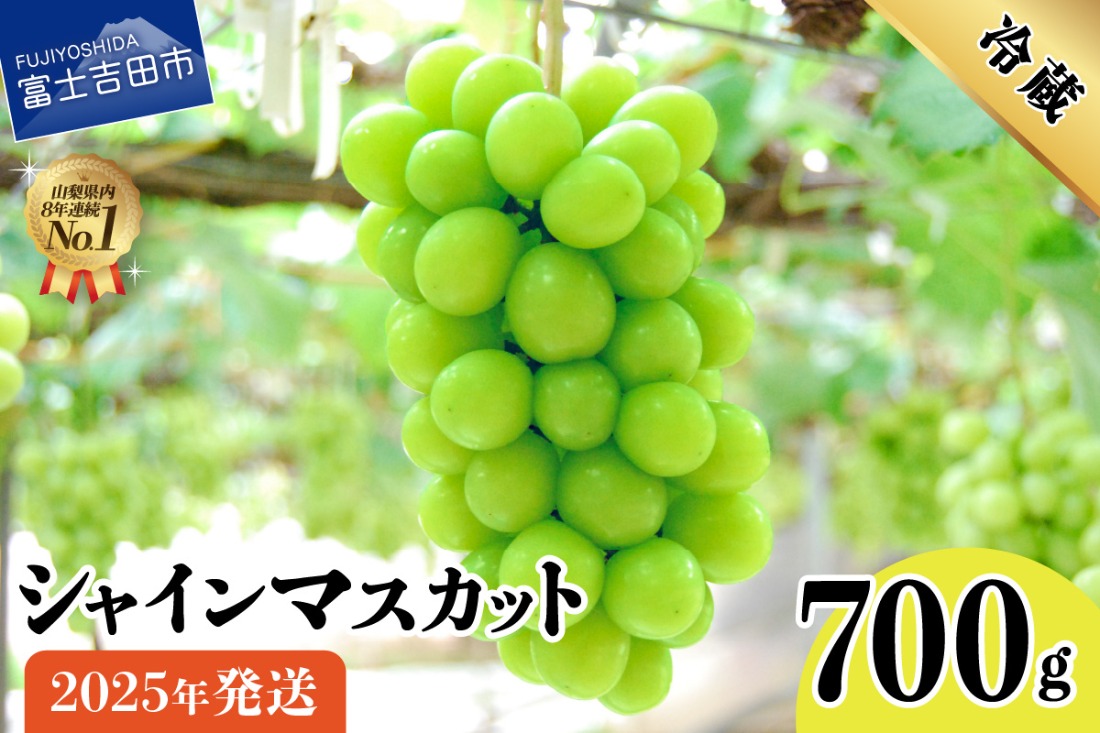 【2025年先行予約】山梨県産 シャインマスカット700g（1房以上）