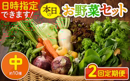 【2回定期便】日時指定OK！本日のお野菜セット 〈中サイズ/約10種〉 2～3人用 新鮮 産地直送 野菜詰め合わせ 有機栽培 野菜 果物 野菜セット 野菜定期便 送料無料 【オーガニックのまち 宮崎県綾町】