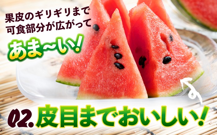 訳あり 小玉すいか 2玉 計約2kg～3kg 小玉西瓜 スイカ