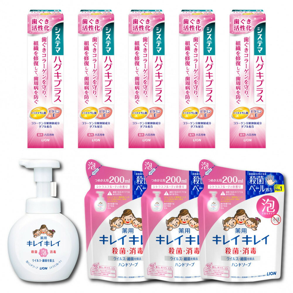 【ふるさと納税】オリジナルDセット「システマハグキプラスハミガキ90g×5本＆キレイキレイ泡ハンドソープ本体1本（250ml）＆詰替え（200ml×3パック）」