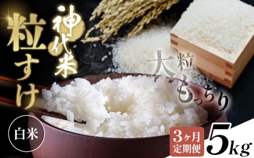 【3ヶ月定期便】米 白米 神代米 粒すけ 令和7年産 5kg×3回 ぜん兵衛。《お申込み翌月から出荷》千葉県 東庄町 送料無料 こめ コメ ごはん ご飯 お取り寄せ