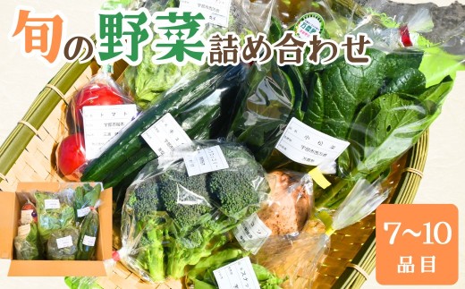 野菜 新鮮野菜の産直 ＜楠こもれびの郷「楠四季菜市」＞ 【野菜 やさい ヤサイ 野さい や菜 新鮮野菜 宇部市産 季節野菜 詰合せ 直送 野菜セット 旬の野菜 地元産 新鮮食品 野菜ボックス】[BTBQ002]